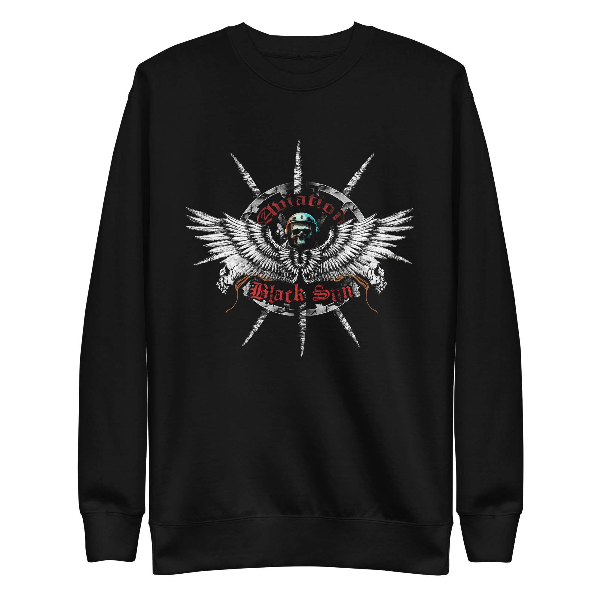 Buy a warm "Aviation" sweatshirt